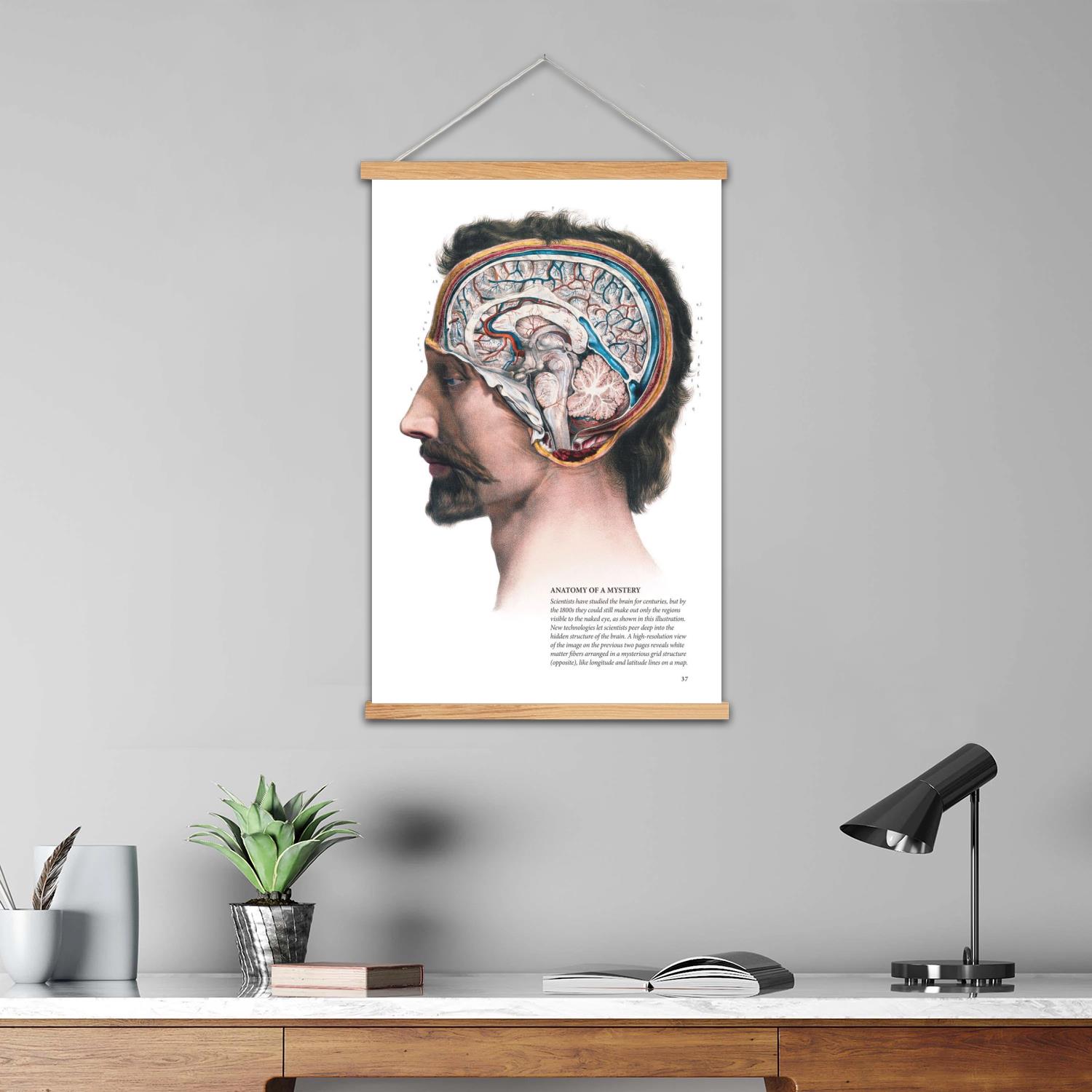 脳の額入り壁画キャンバスアートポスター、ウォールアート、絵画 - Art Print Framed のレビューと価格